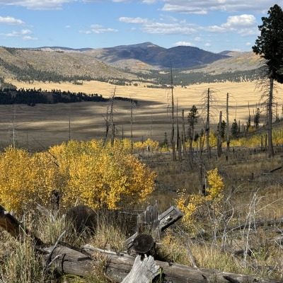 The Jemez Super Volcano