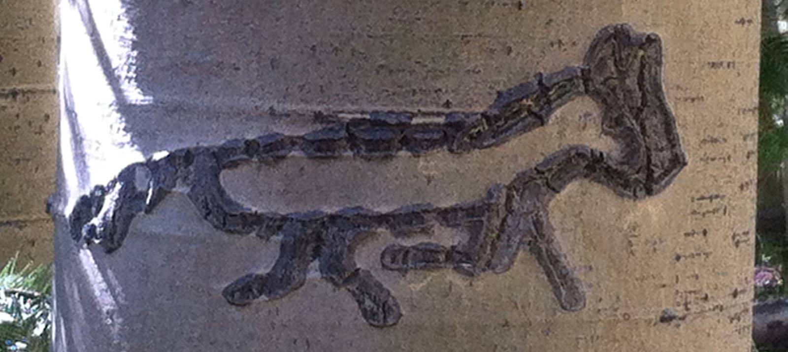 Aspen Dendroglyph